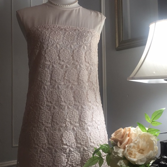 Reiss lace blush dress 4 - Picture 4 of 8